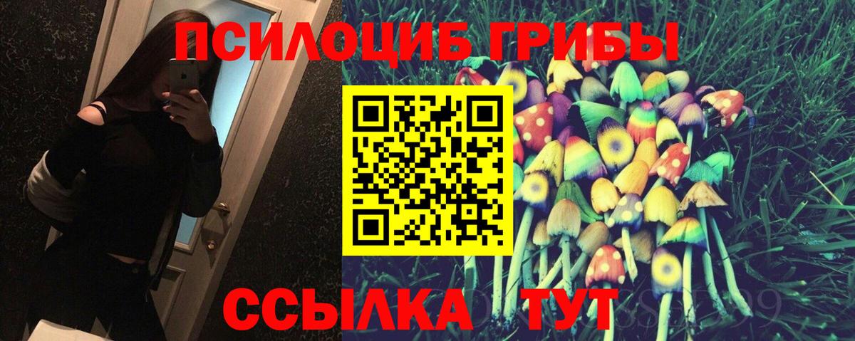Псилоцибиновые грибы мухоморы Санкт-Петербург